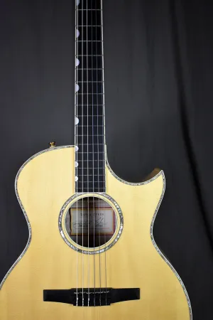 2003 Taylor NS-DDSM Doyle Dykes Signature Nylon