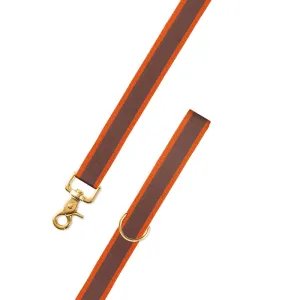 Brown & Orange Grosgrain Ribbon Dog Leash